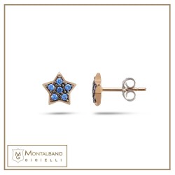 Orecchini in Oro AOZ 507